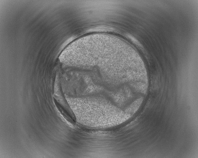 X0000077981329200611251335
