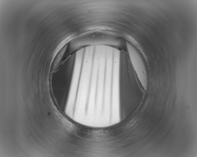 X0000077981330200611251335