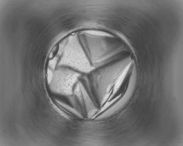 X0000077981335200611251335