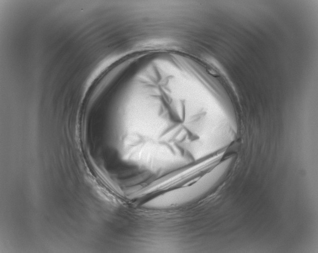 X0000077981336200611251335