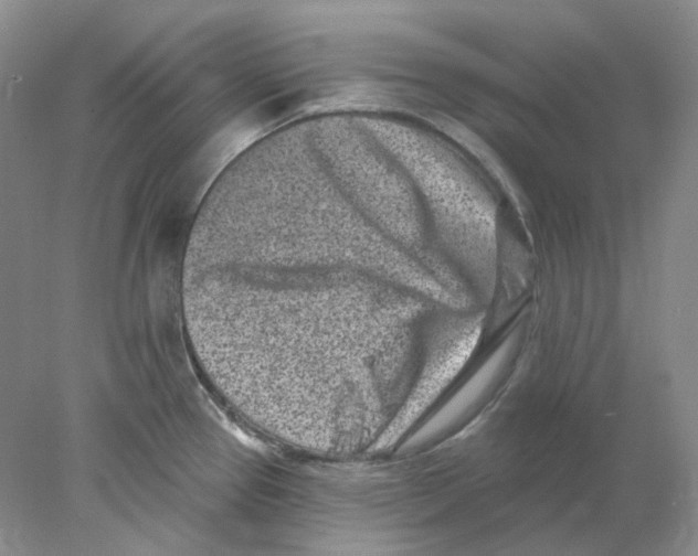 X0000077981337200611251335