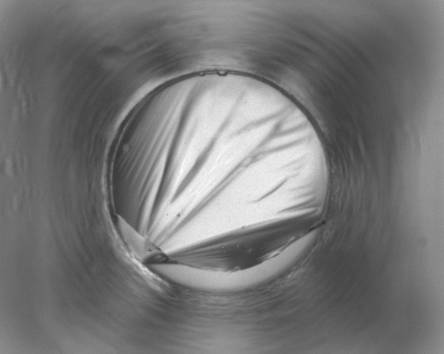X0000077981339200611251335