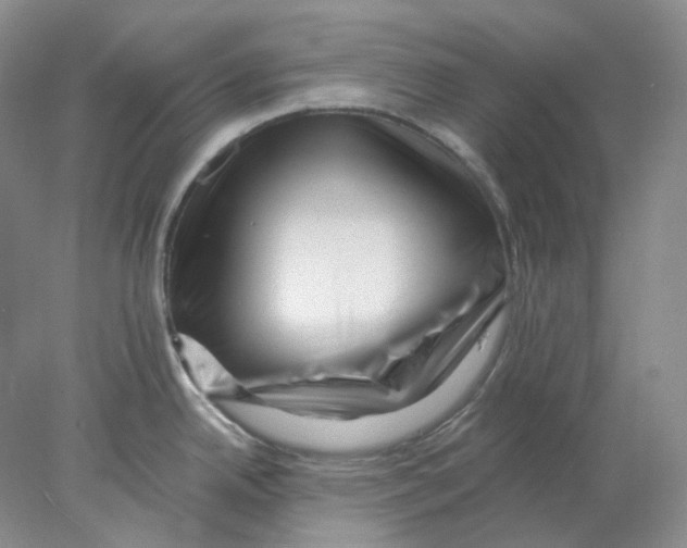 X0000077981342200611251336