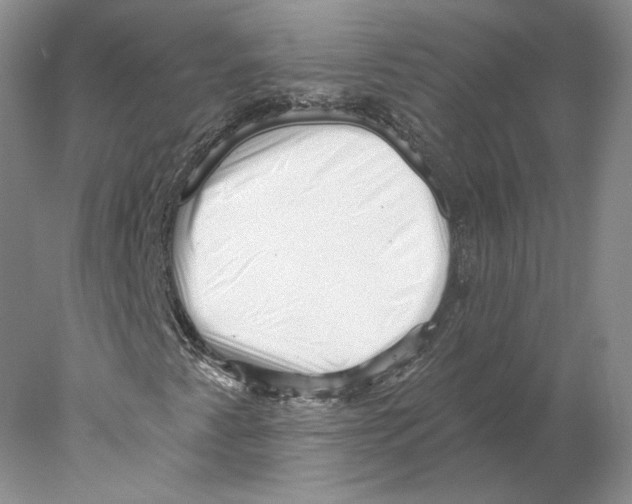X0000077981345200611251335