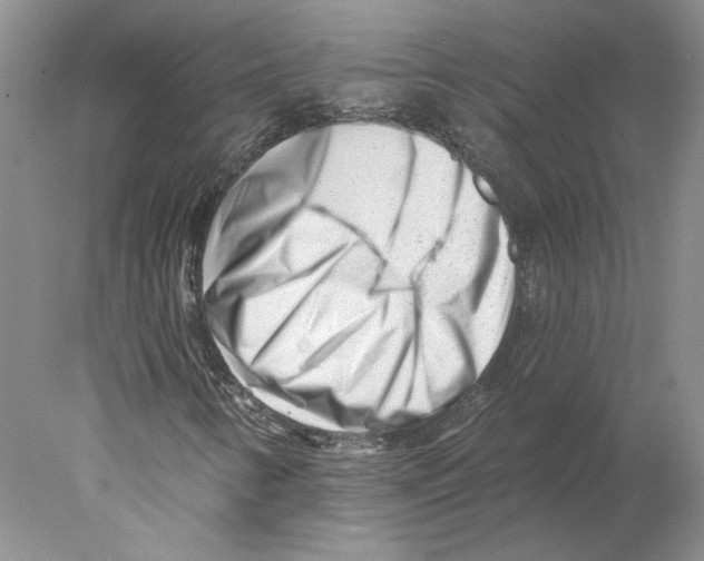 X0000077981346200611251335