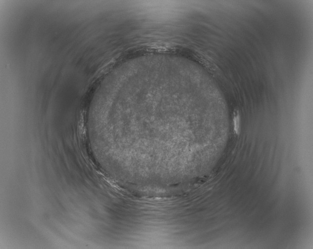 X0000077981347200611251335