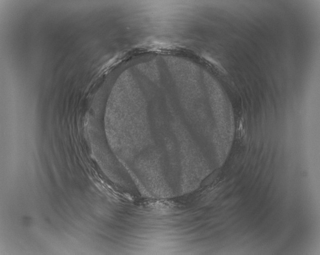 X0000077981348200611251335