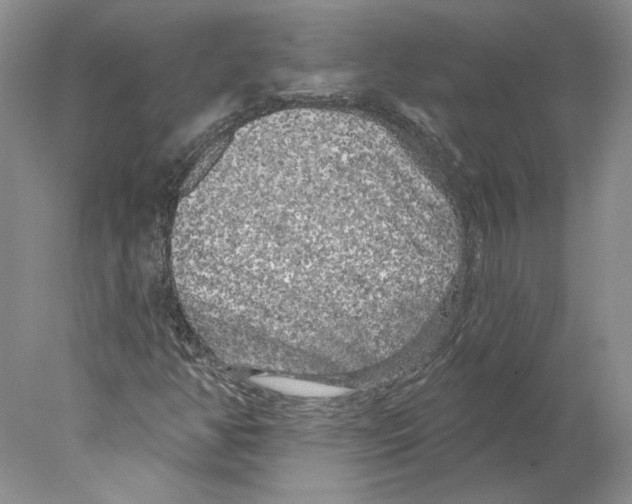X0000077981350200611251335