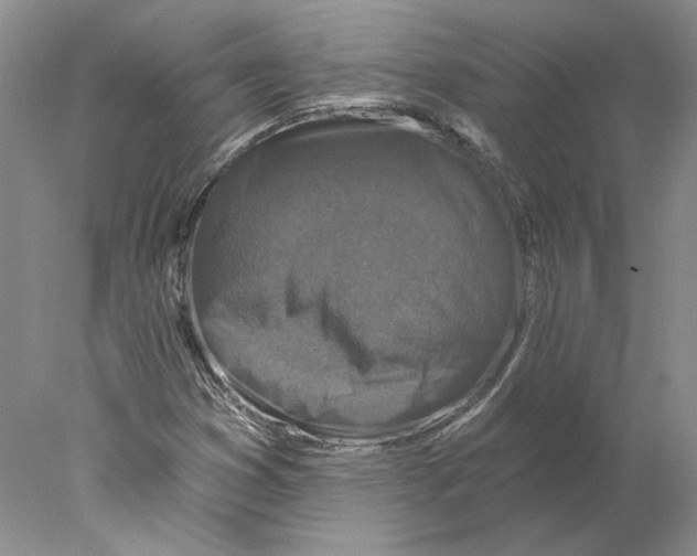 X0000077981353200611251335