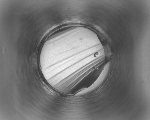 X0000077981356200611251335
