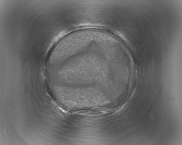 X0000077981357200611251335