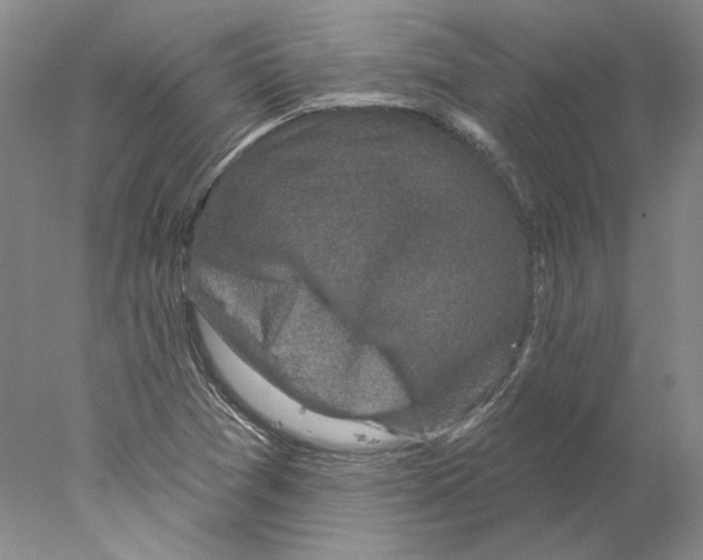 X0000077981361200611251334