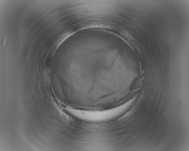 X0000077981369200611251334
