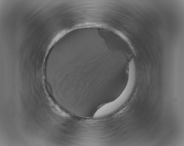 X0000077981373200611251334