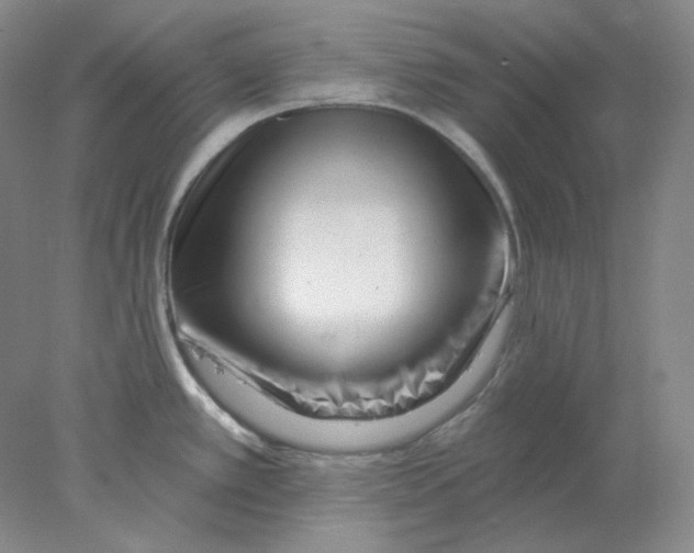 X0000077981389200611251334