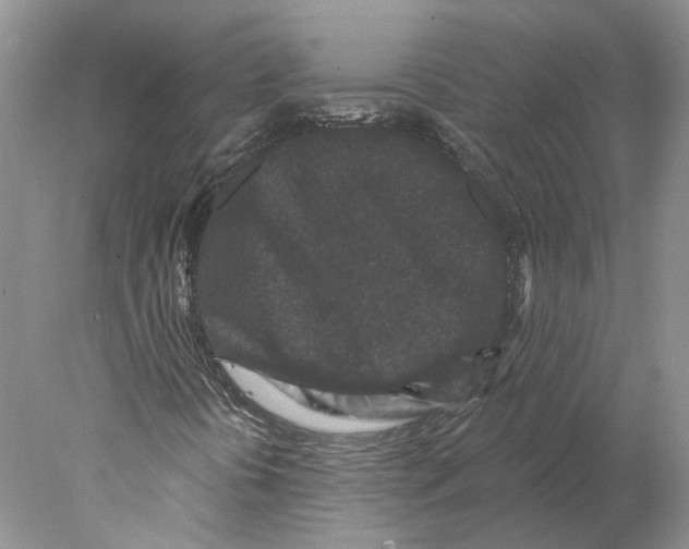 X0000077981394200611251333