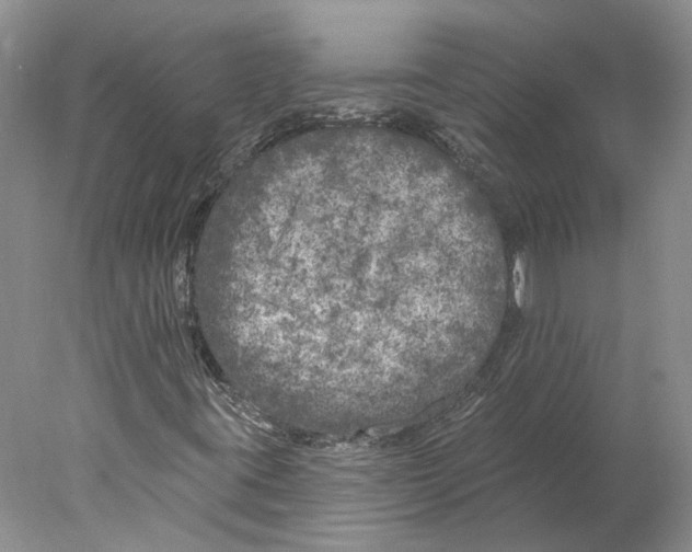 X0000077981395200611251333