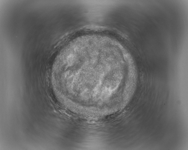 X0000077981397200611251333