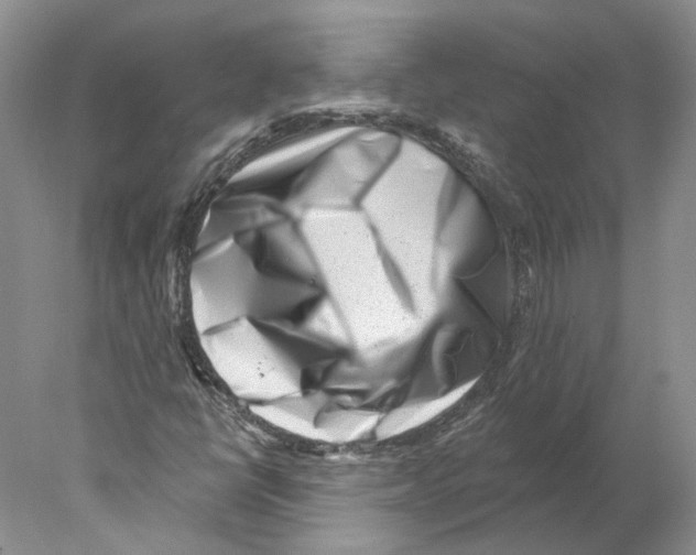 X0000077981398200611251333