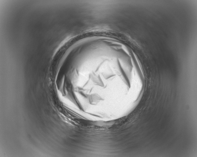 X0000077981400200611251333