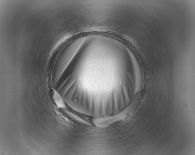 X0000077981406200611251333