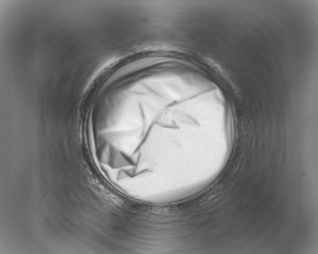 X0000077981408200611251333