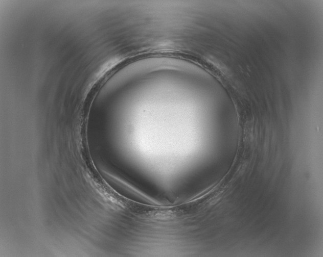 X0000077981410200611251333