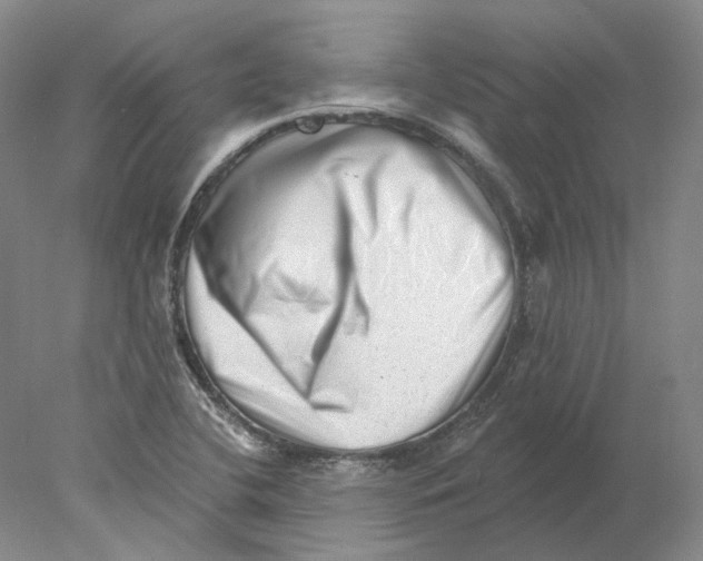 X0000077981412200611251333