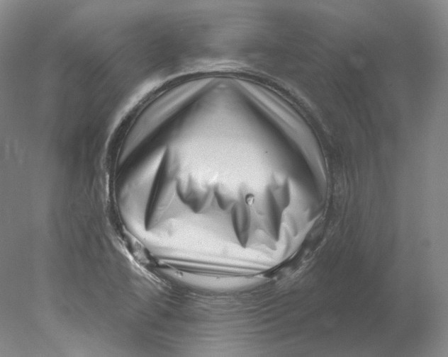 X0000077981414200611251334