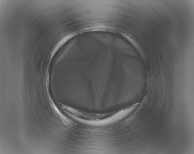 X0000077981418200611251334