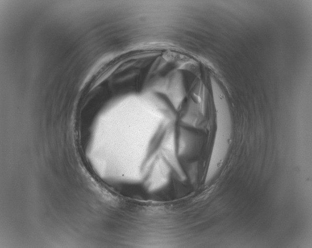 X0000077981422200611251334