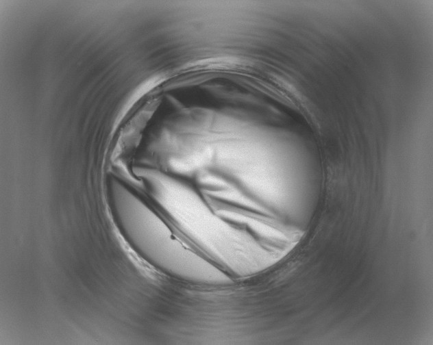 X0000077981426200611251334
