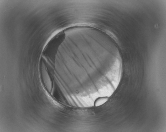 X0000077981428200611251334