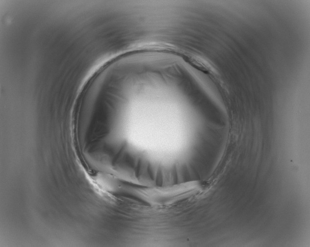 X0000077981430200611251334