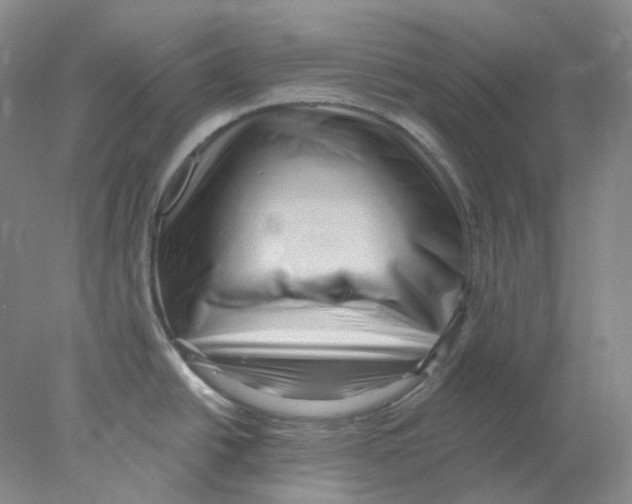 X0000077981438200611251334