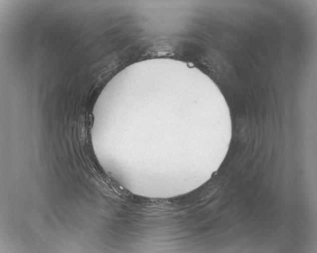 X0000077981442200611251333
