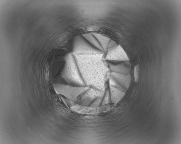 X0000077981443200611251333