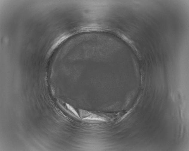 X0000077981453200611251333