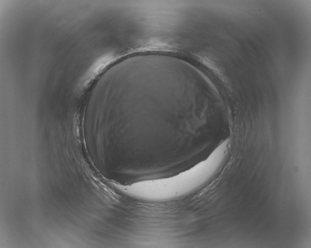 X0000077981455200611251333