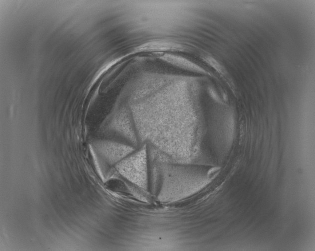 X0000077981465200611251333
