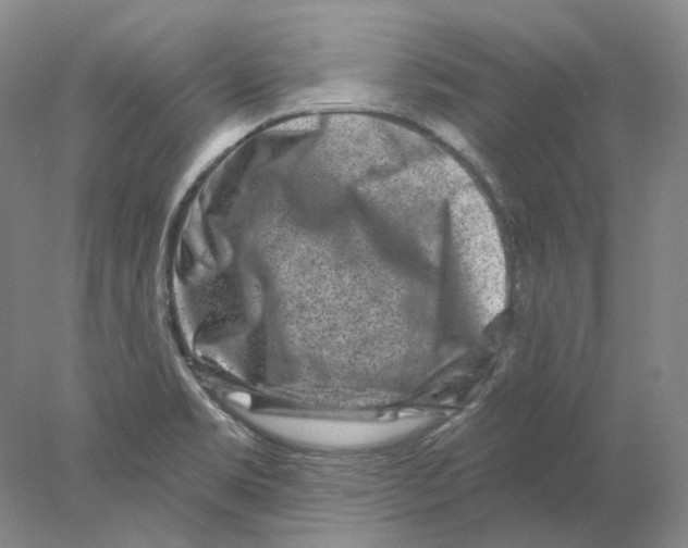 X0000077981469200611251333