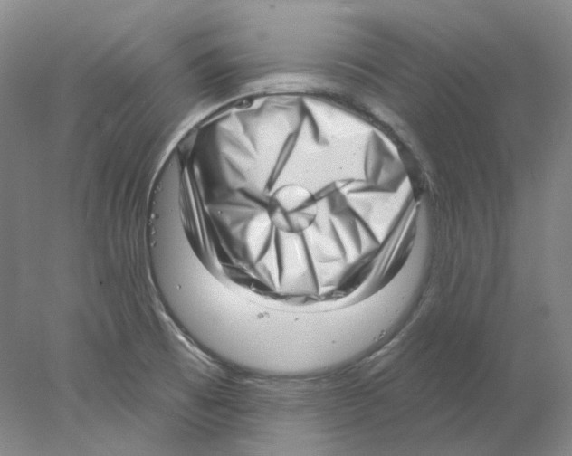 X0000077981473200611251333