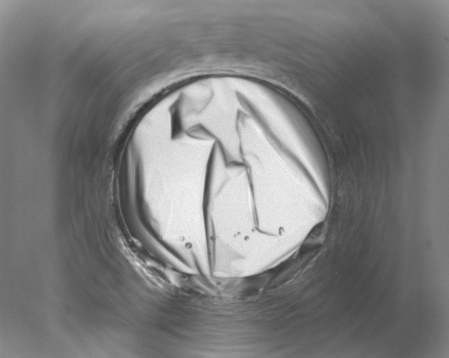 X0000077981507200611251332