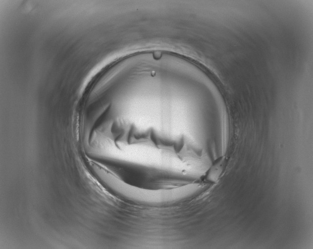 X0000077981510200611251332