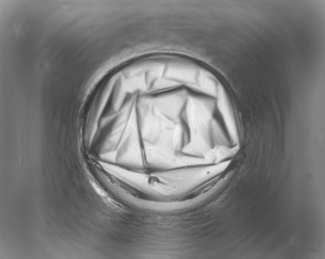 X0000077981511200611251332