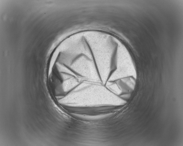 X0000077981512200611251332