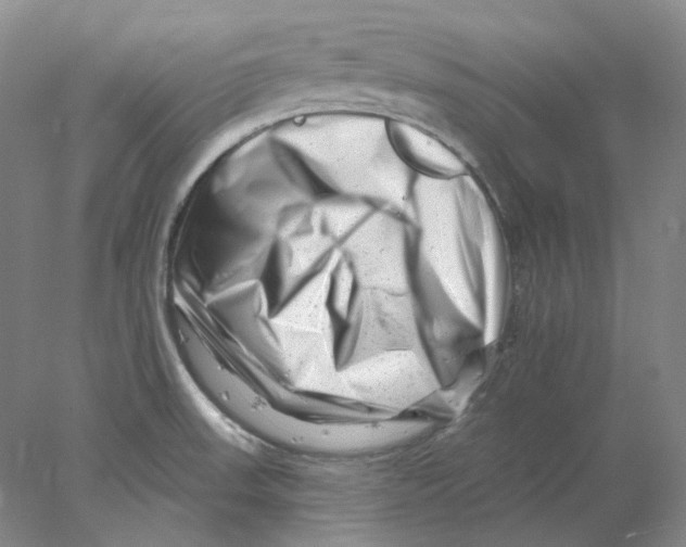 X0000077981523200611251332