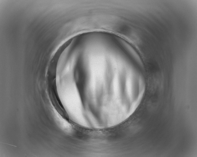X0000077981524200611251332