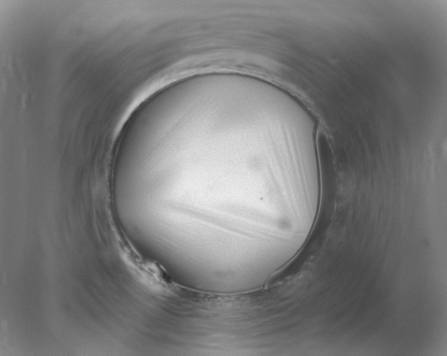 X0000077981530200611251332