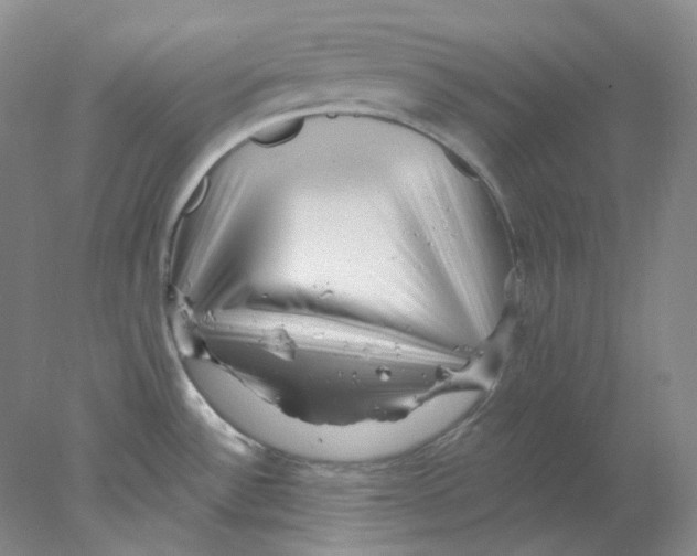 X0000077981532200611251332